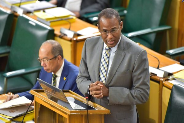 Lives Of Jamaicans Will Improve This Year